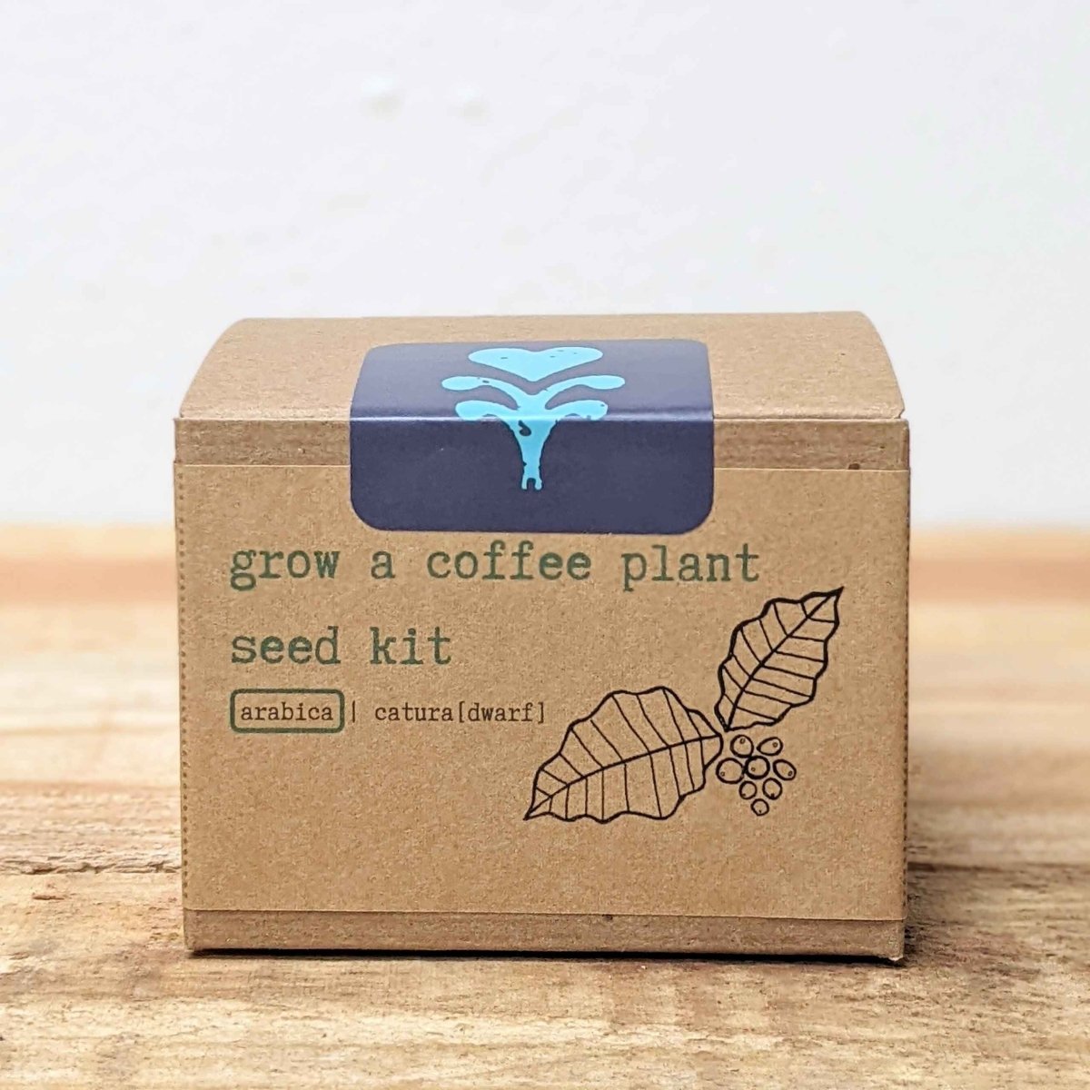 Grow a Coffee Plant Seed Kit - Plantflix