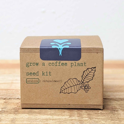 Grow a Coffee Plant Seed Kit - Plantflix