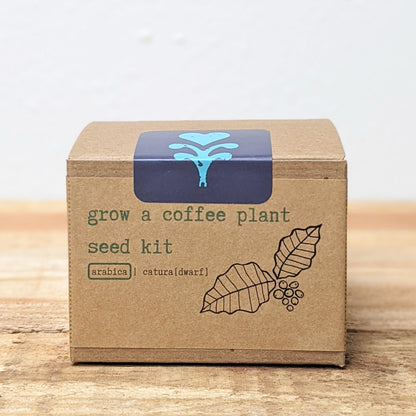 Grow a Coffee Plant Seed Kit - Plantflix