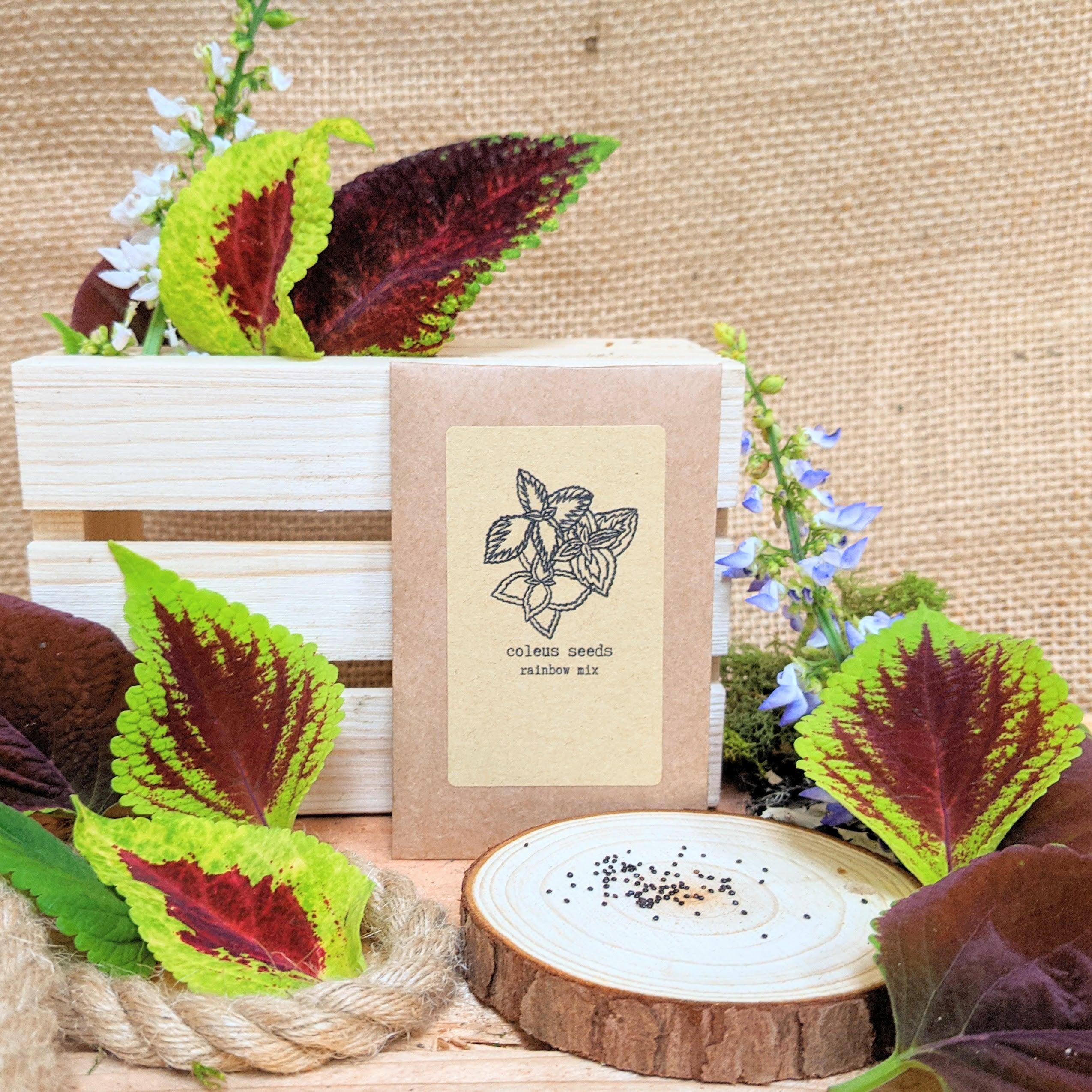 Grow a Coleus Seed Kit - Plantflix