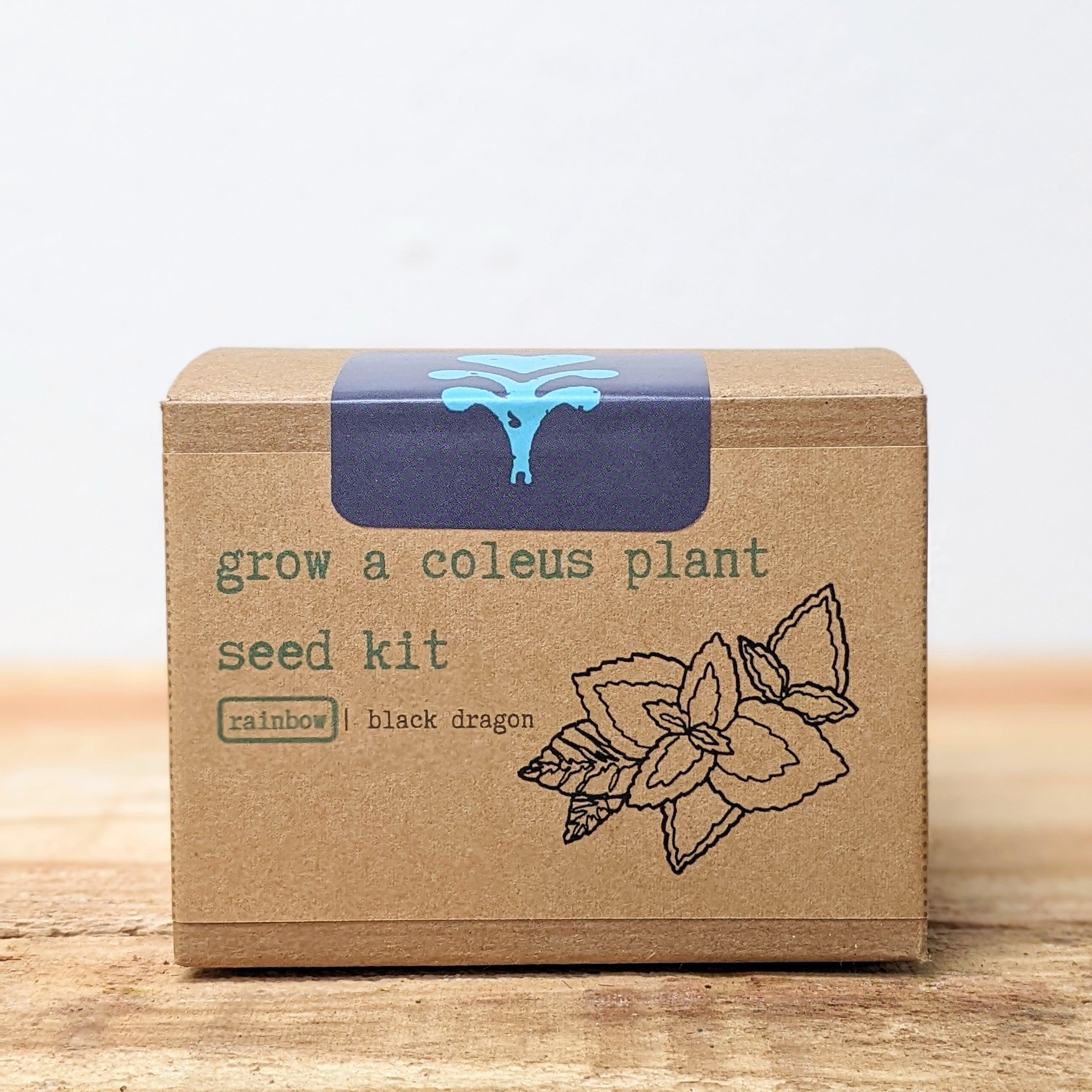 Grow a Coleus Seed Kit - Plantflix