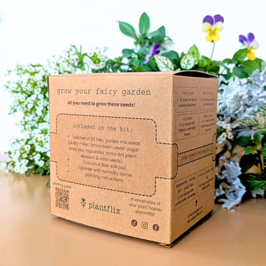 Grow a Fairy Garden Seed Kit - Plantflix