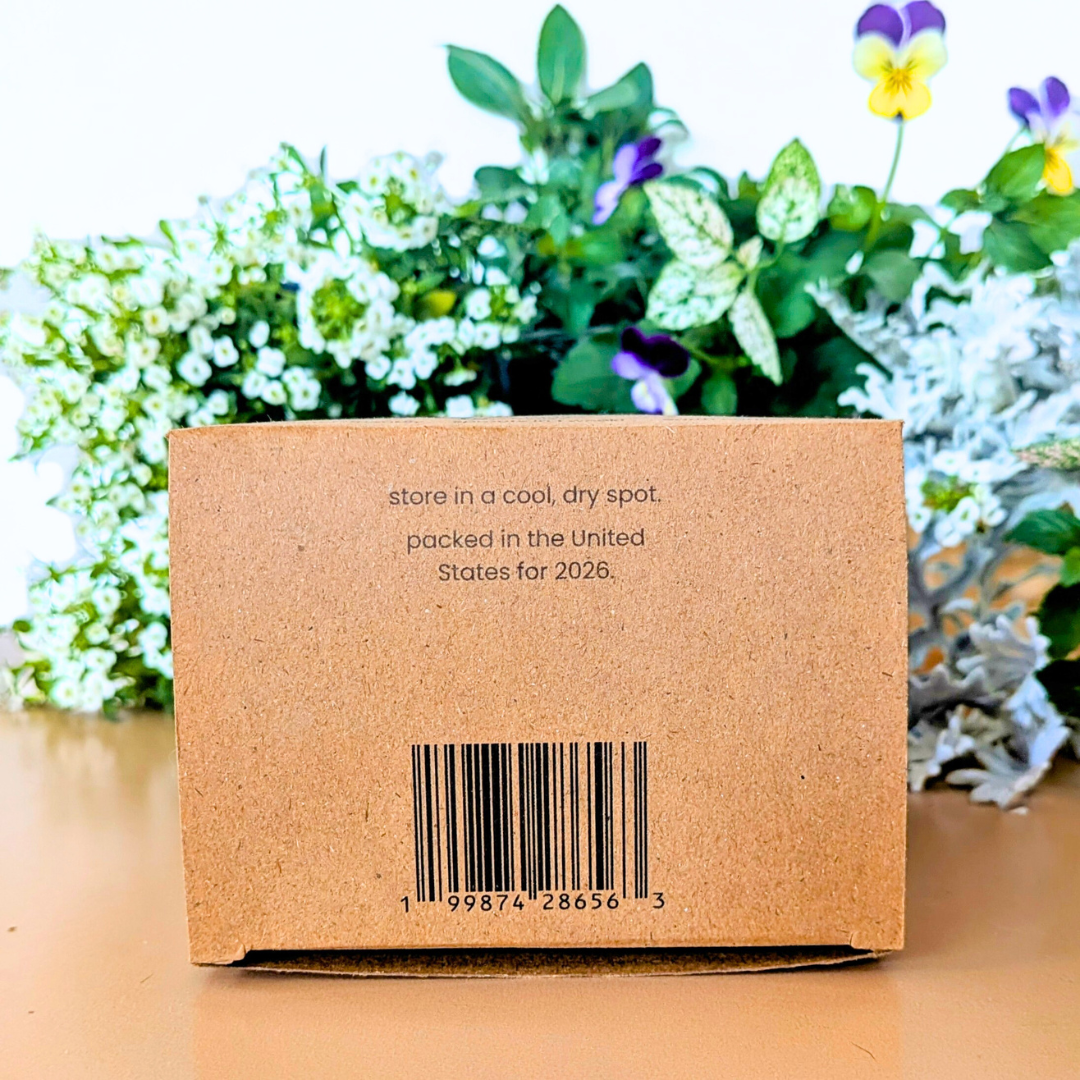 Grow a Fairy Garden Seed Kit - Plantflix