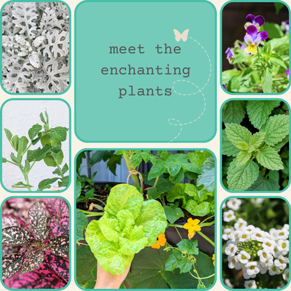 Grow a Fairy Garden Seed Kit - Plantflix
