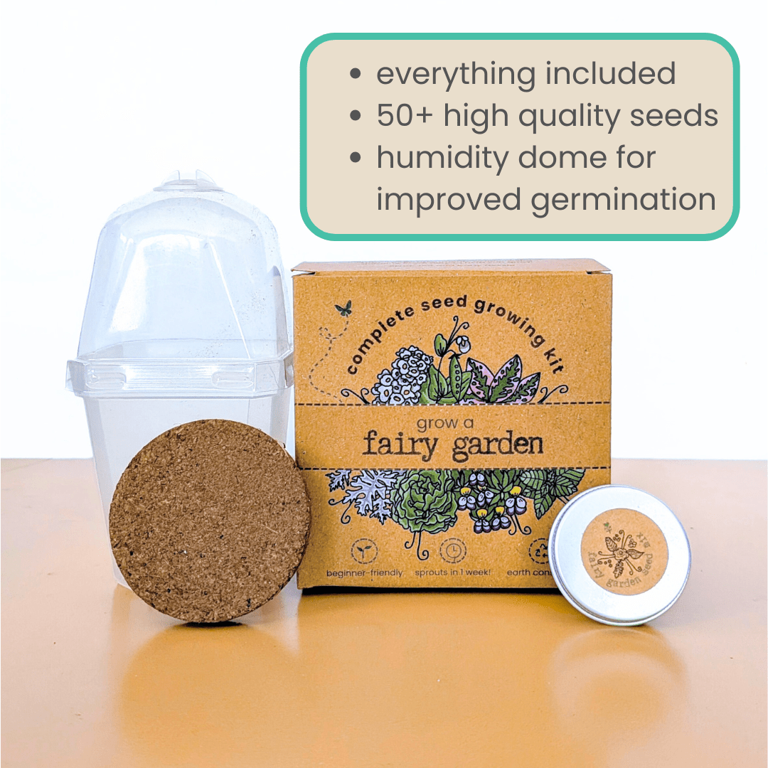 Grow a Fairy Garden Seed Kit - Plantflix