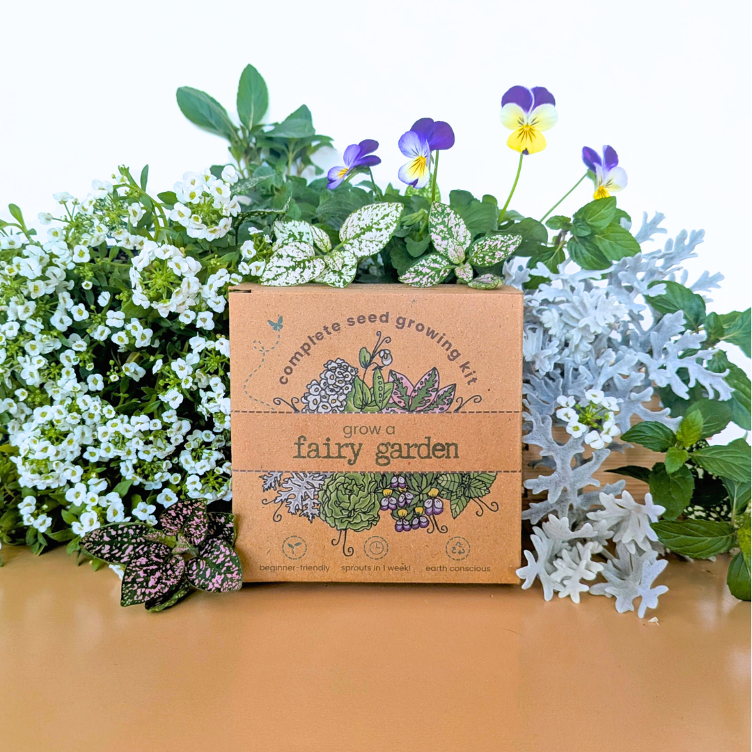Grow a Fairy Garden Seed Kit - Plantflix