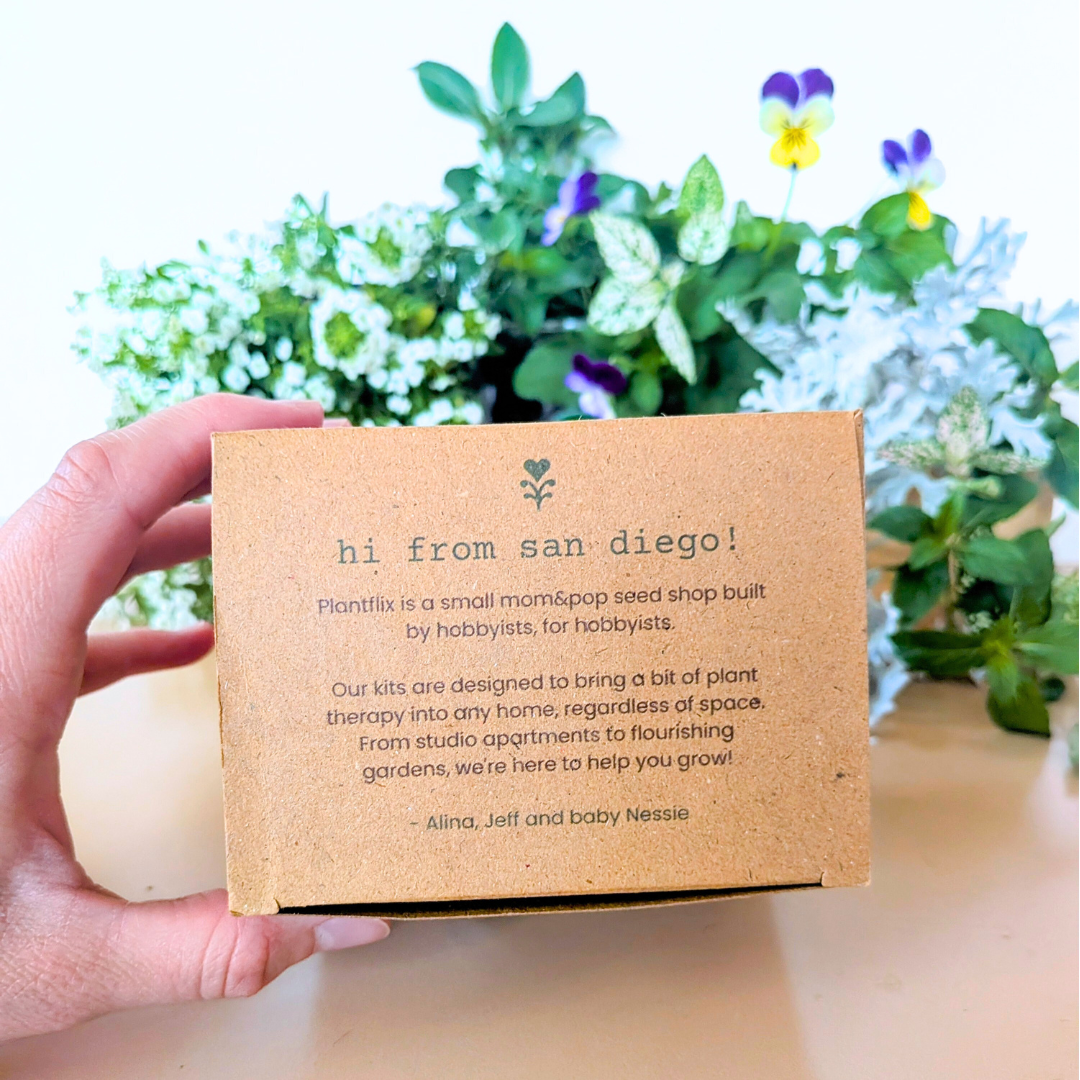Grow a Fairy Garden Seed Kit - Plantflix