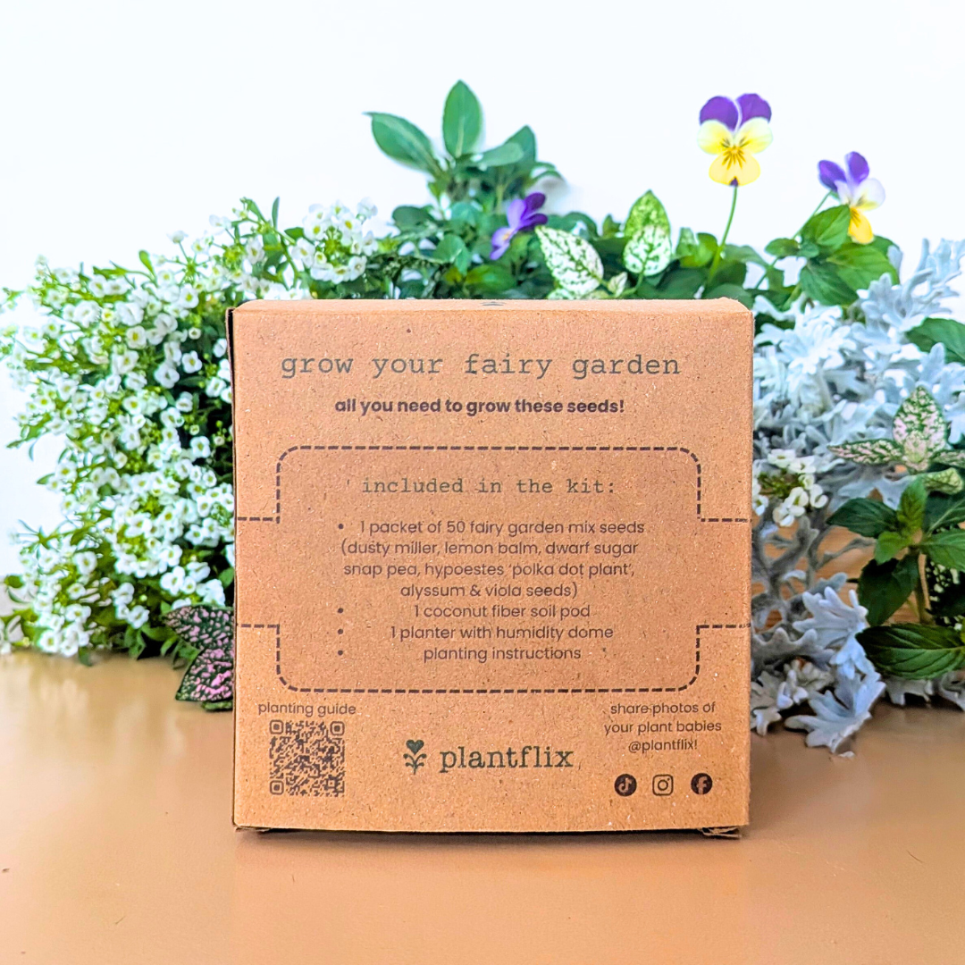 Grow a Fairy Garden Seed Kit - Plantflix