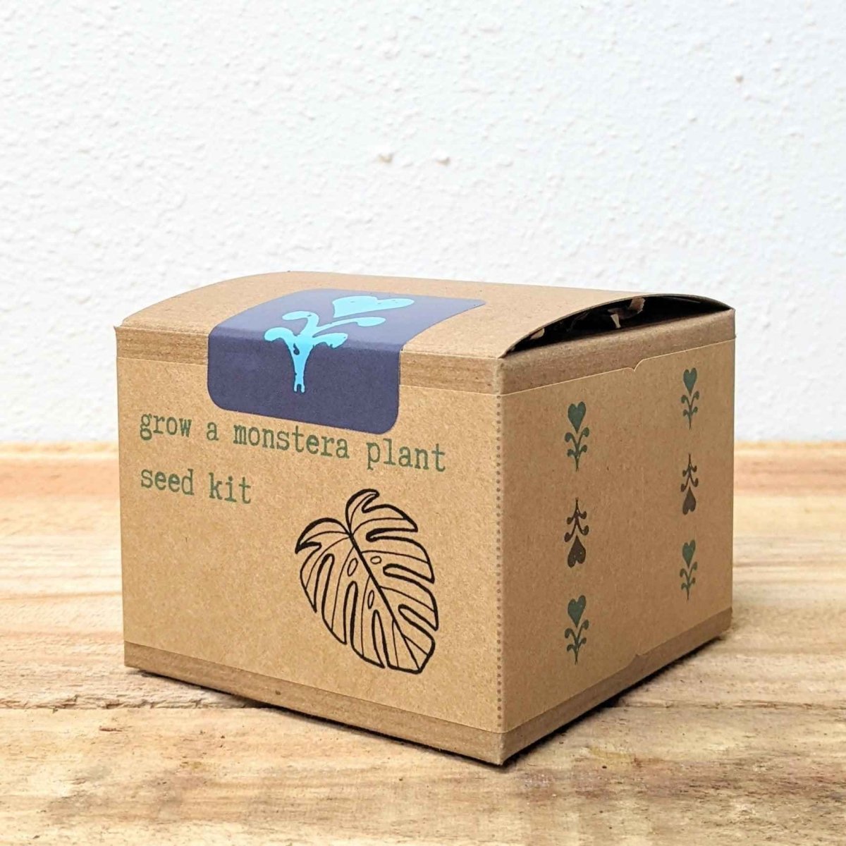 monstera plant shipped Grow a Monstera Seed Kit