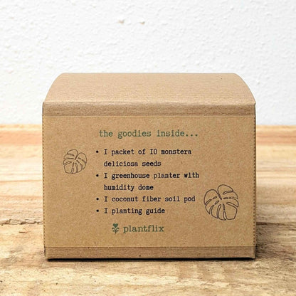 Grow a Monstera Seed Kit - Plantflix