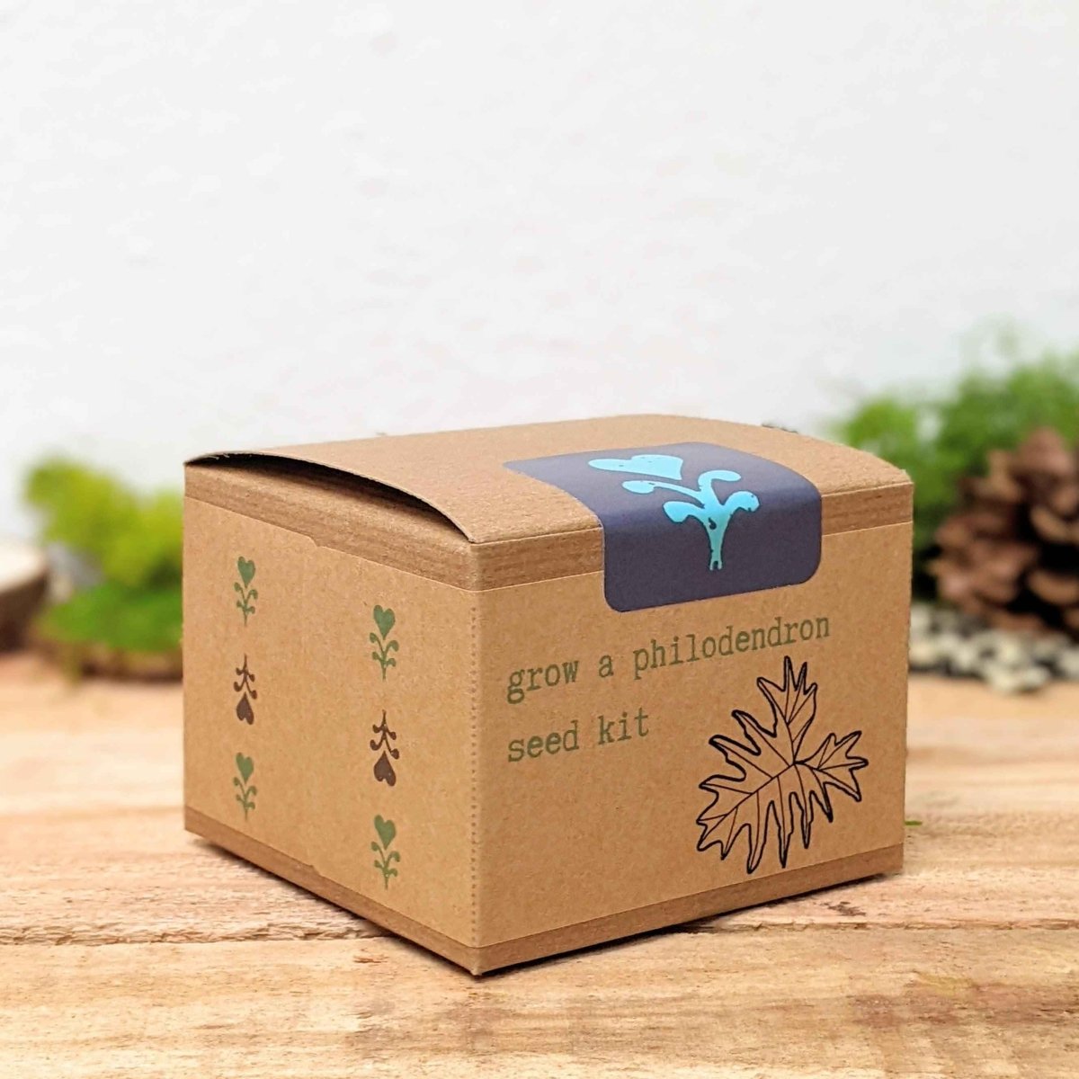 Grow a Philodendron Seed Kit - Plantflix
