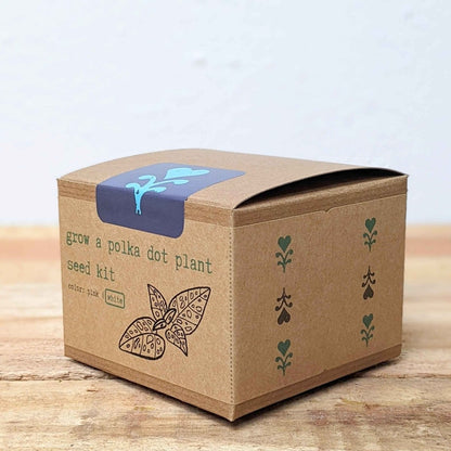 Grow a Polka Dot Seed Kit - Plantflix