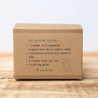 Grow a Polka Dot Seed Kit - Plantflix