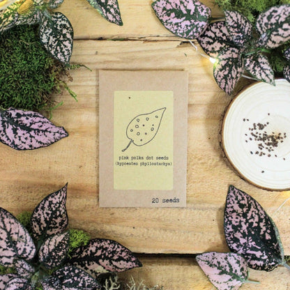 Grow a Polka Dot Seed Kit - Plantflix
