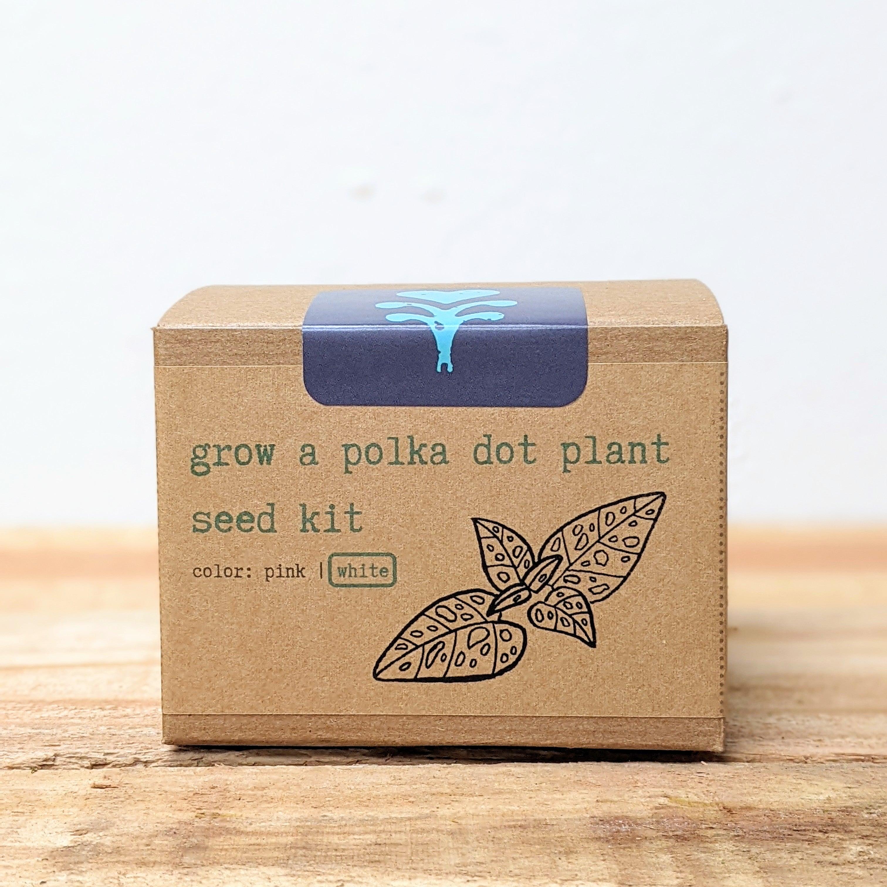 Grow a Polka Dot Seed Kit - Plantflix