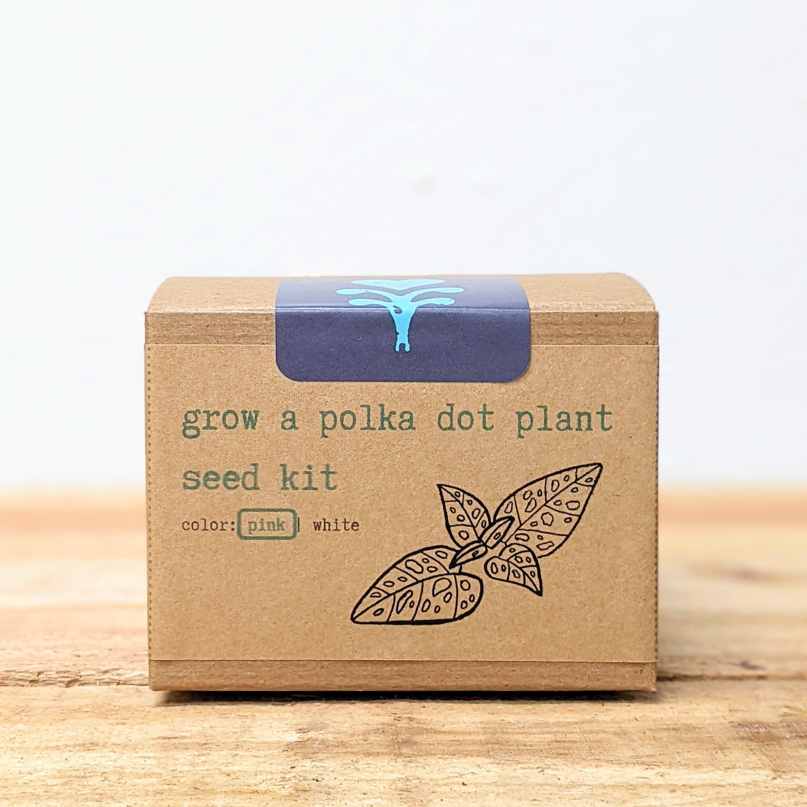Grow a Polka Dot Seed Kit - Plantflix