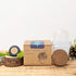 Grow a Ponytail Palm Seed Kit - Plantflix