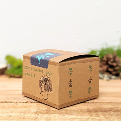 Grow a Ponytail Palm Seed Kit - Plantflix