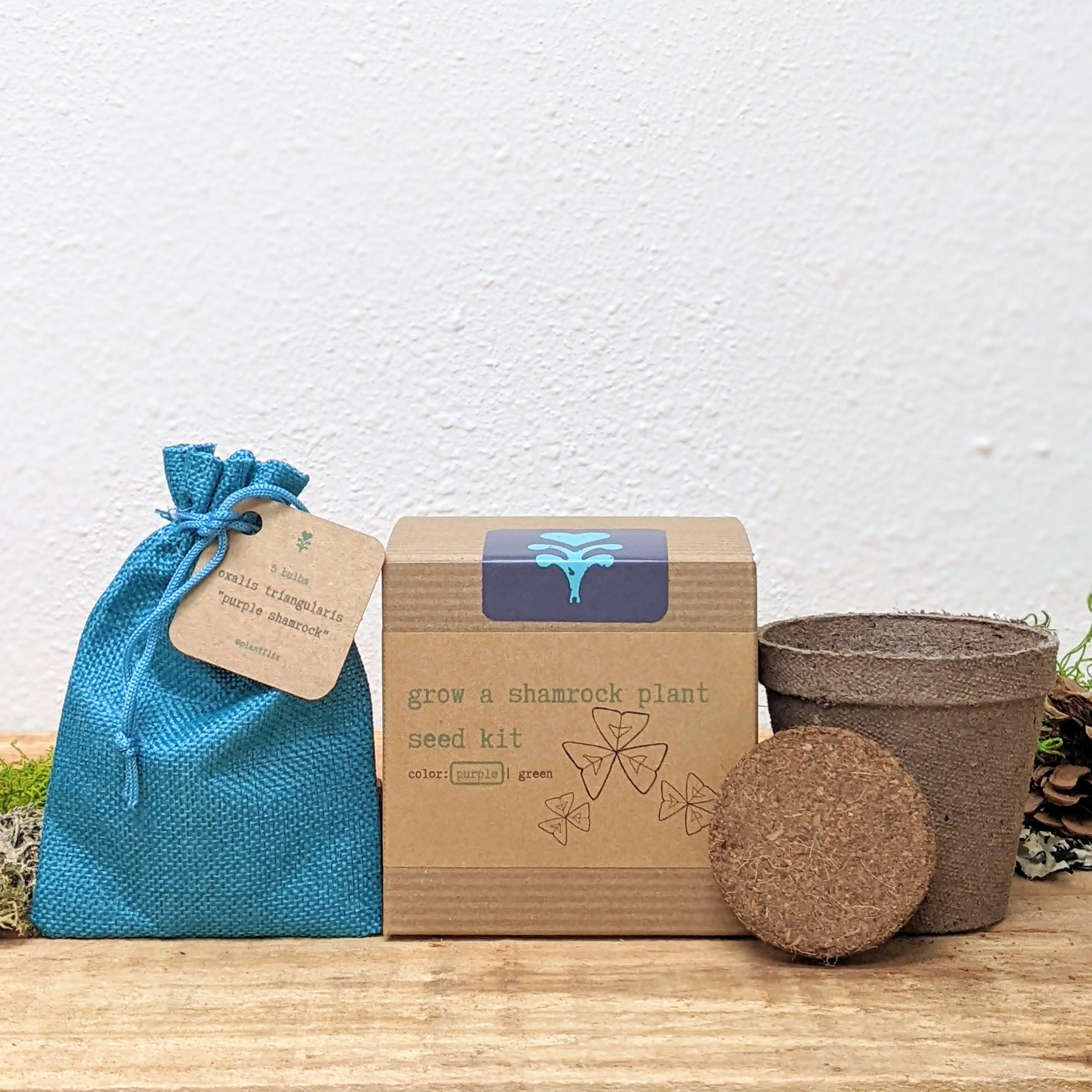 Grow a Shamrock Plant Seed Kit - Plantflix