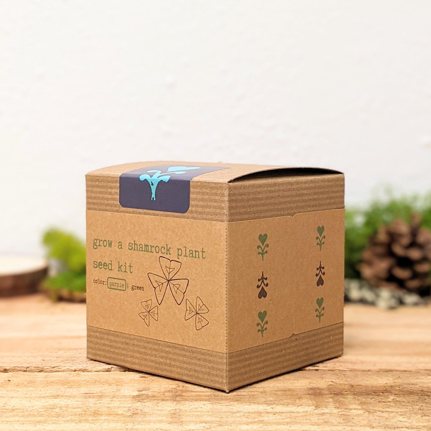 Grow a Shamrock Plant Seed Kit - Plantflix