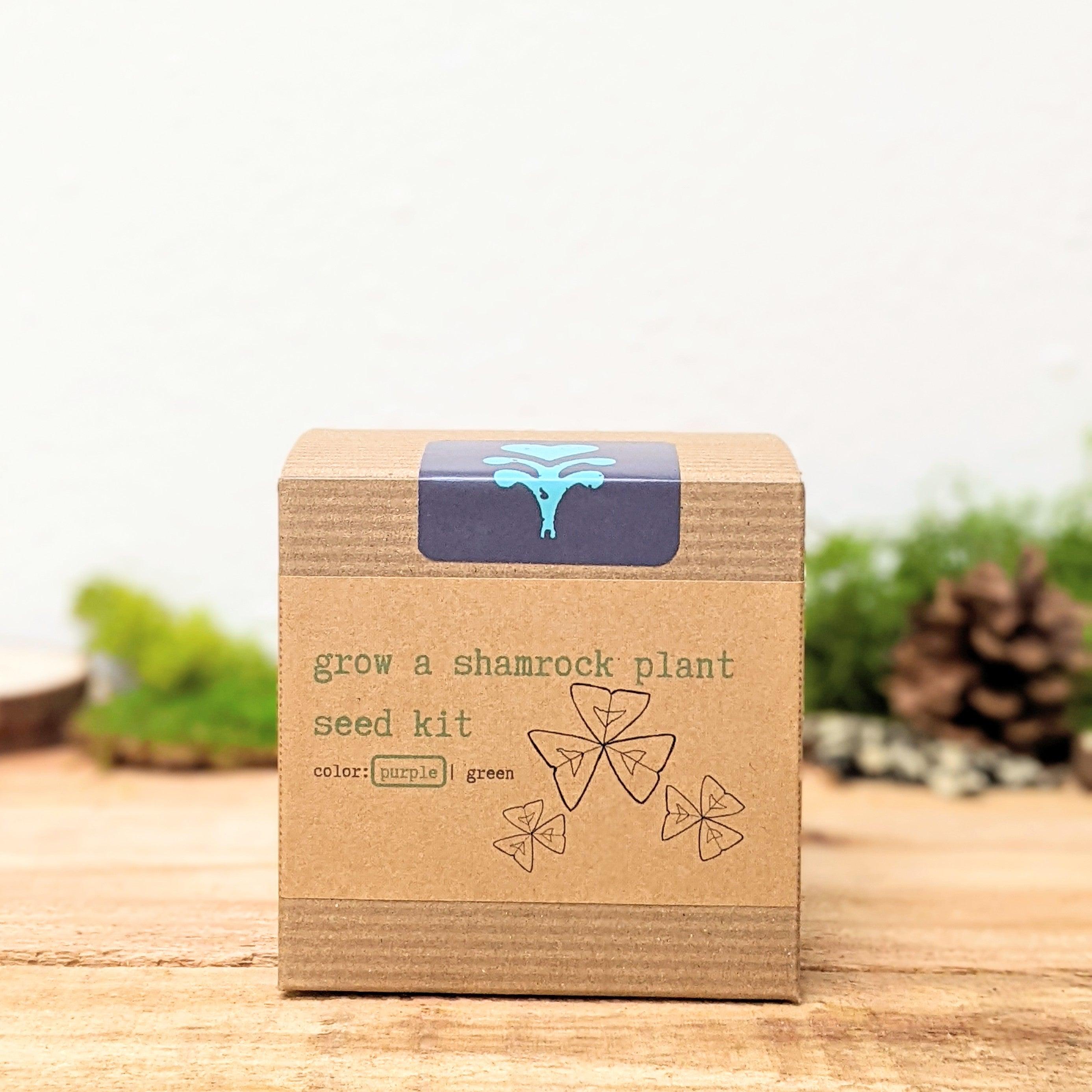 Grow a Shamrock Plant Seed Kit - Plantflix