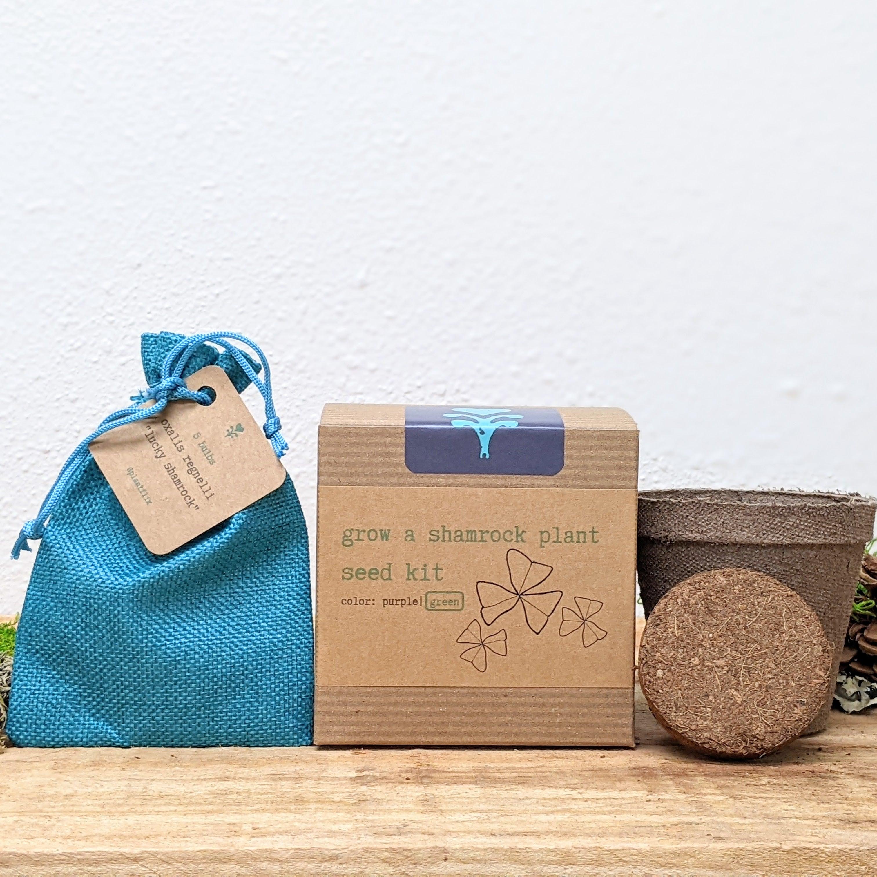 Grow a Shamrock Plant Seed Kit - Plantflix