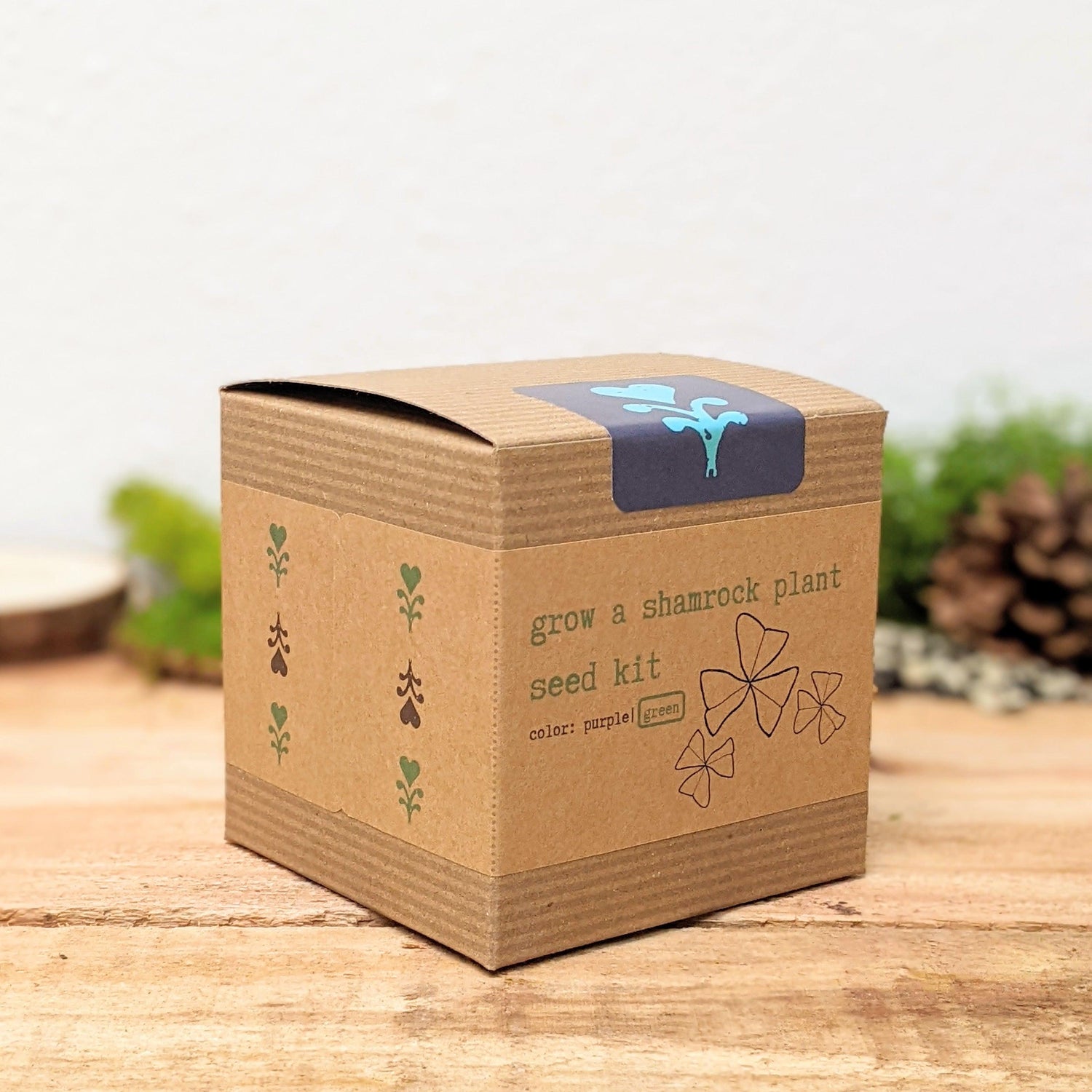 Grow a Shamrock Plant Seed Kit - Plantflix