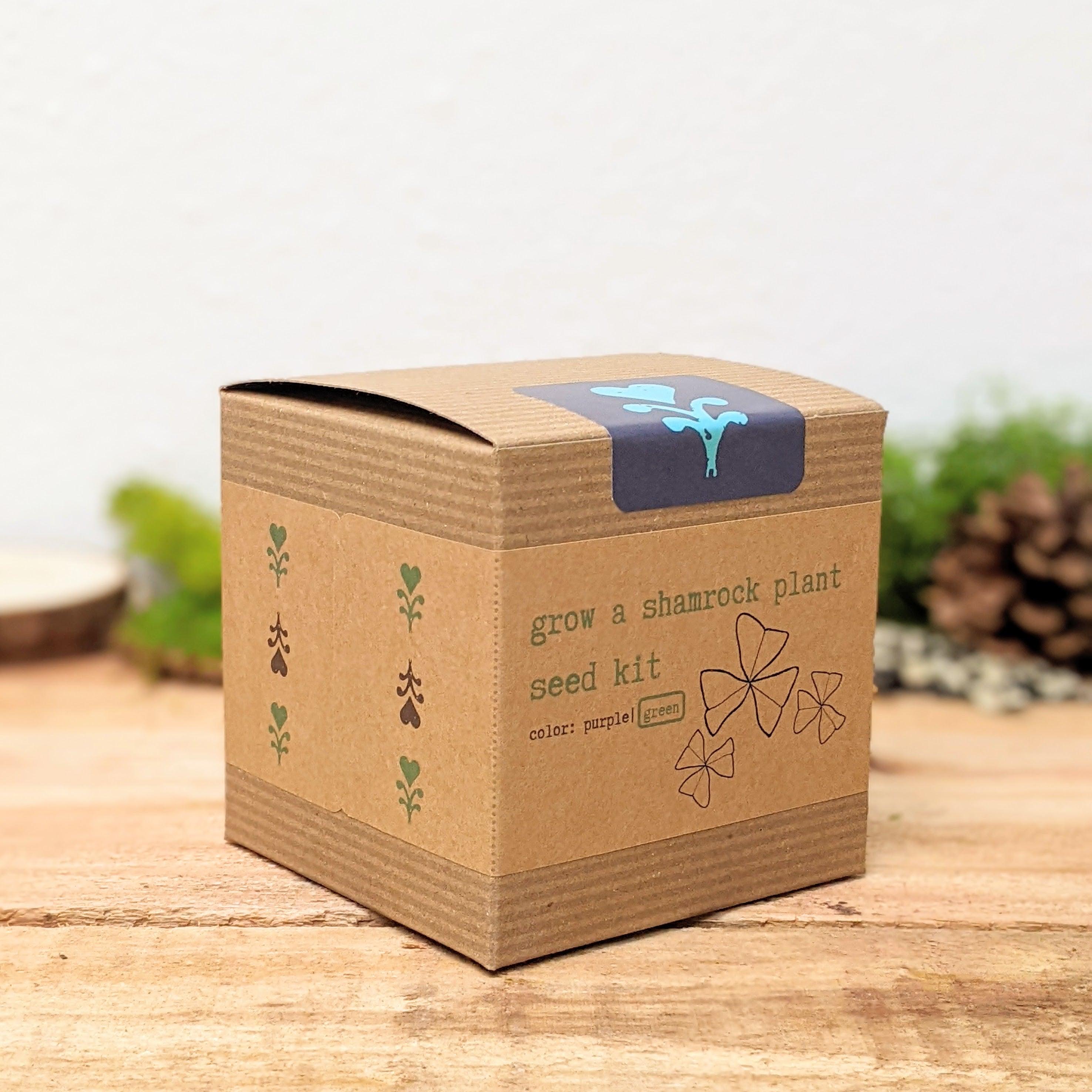 Grow a Shamrock Plant Seed Kit - Plantflix