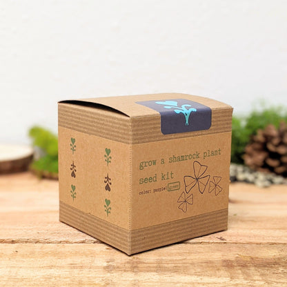 Grow a Shamrock Plant Seed Kit - Plantflix