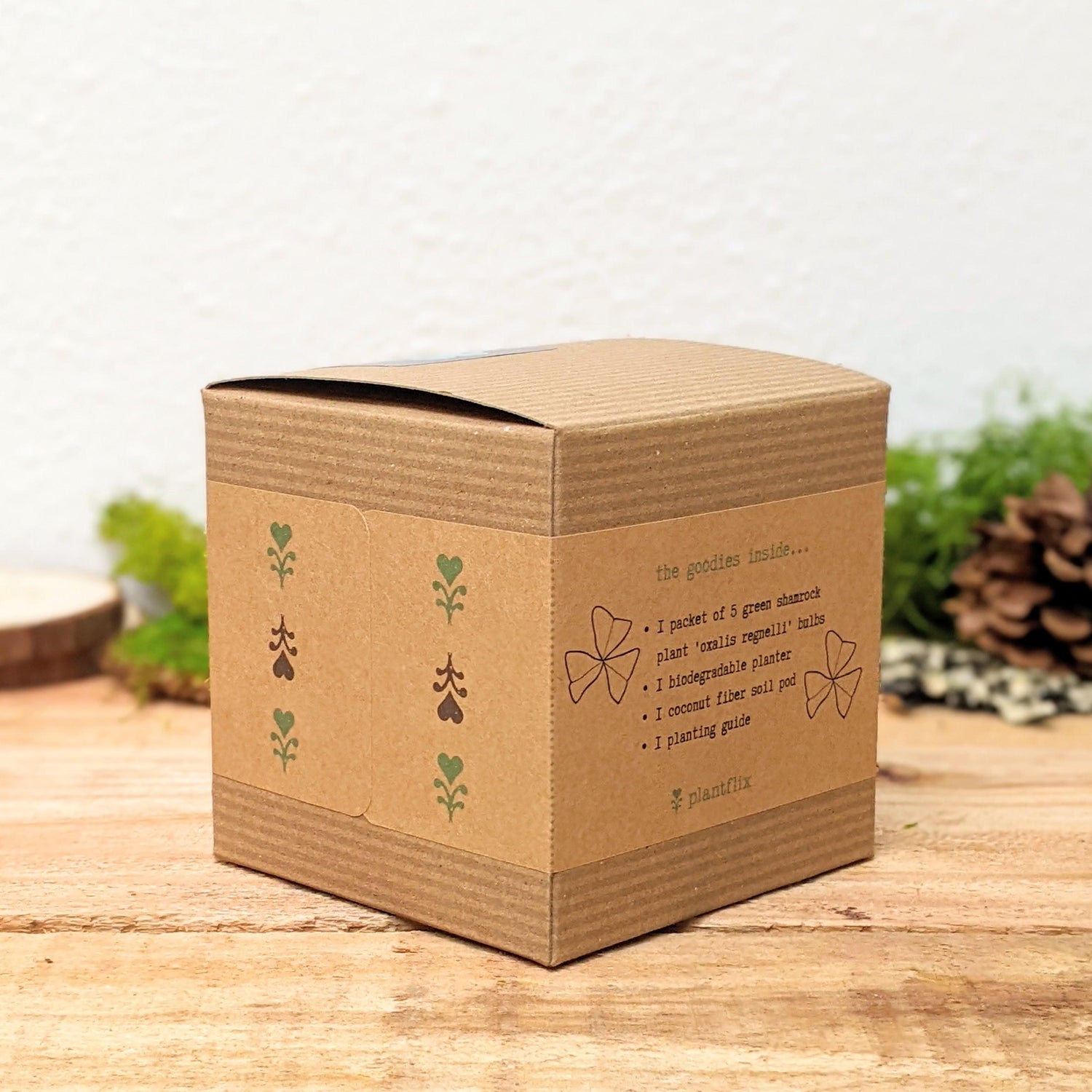 Grow a Shamrock Plant Seed Kit - Plantflix