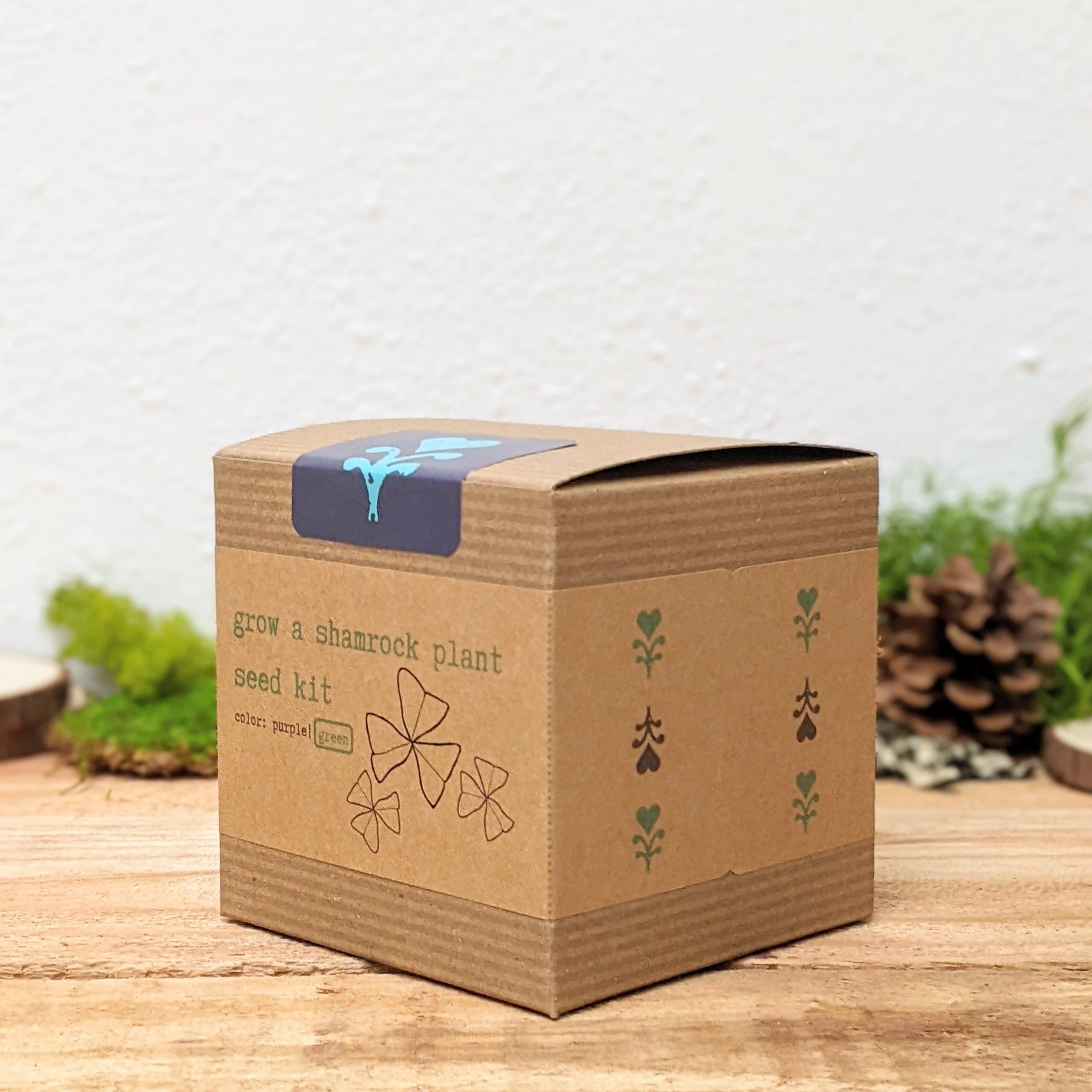 Grow a Shamrock Plant Seed Kit - Plantflix
