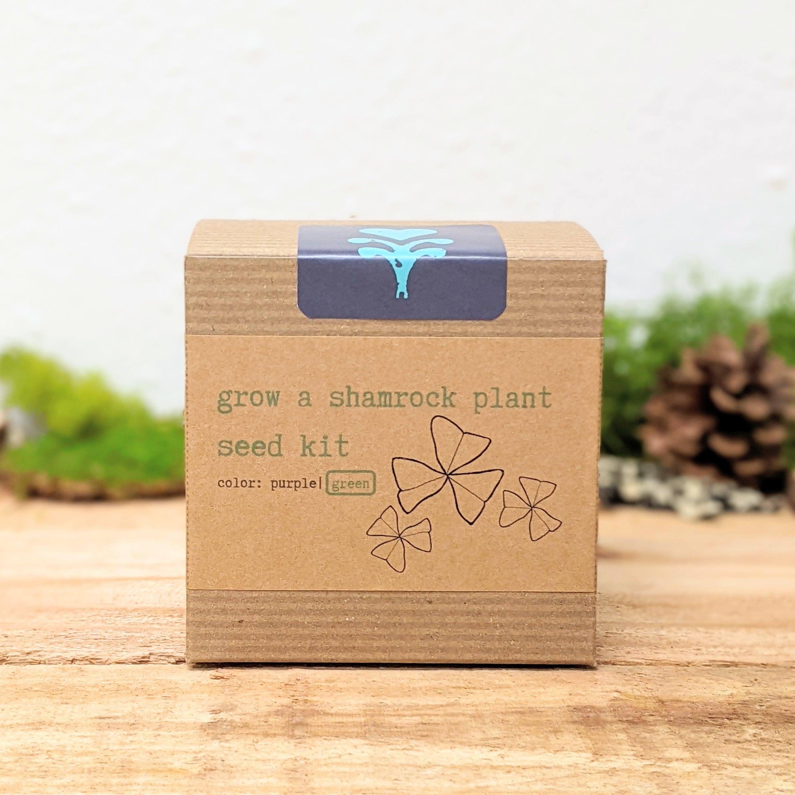 Grow a Shamrock Plant Seed Kit - Plantflix