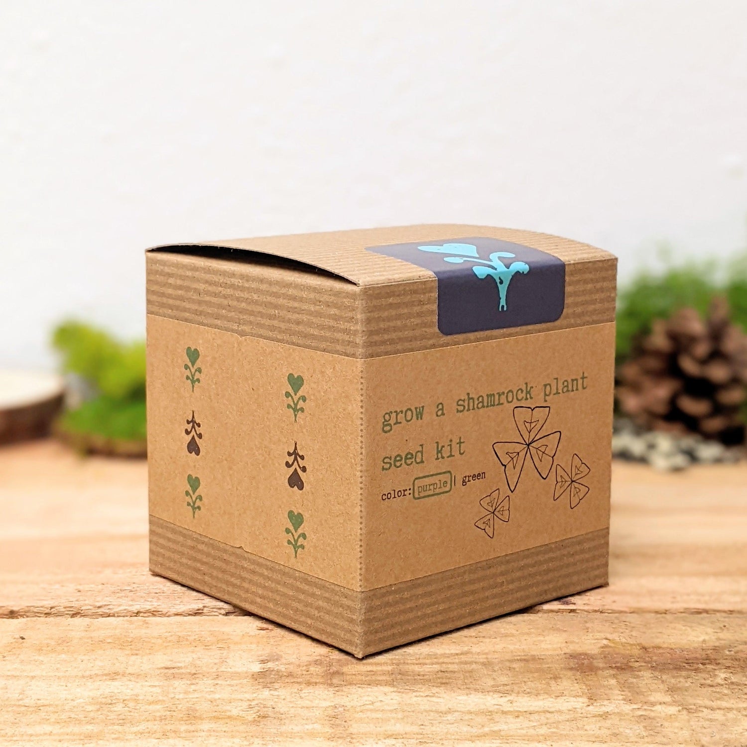 Grow a Shamrock Plant Seed Kit - Plantflix