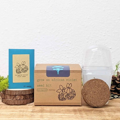 Grow an African Violet Seed Kit - Plantflix