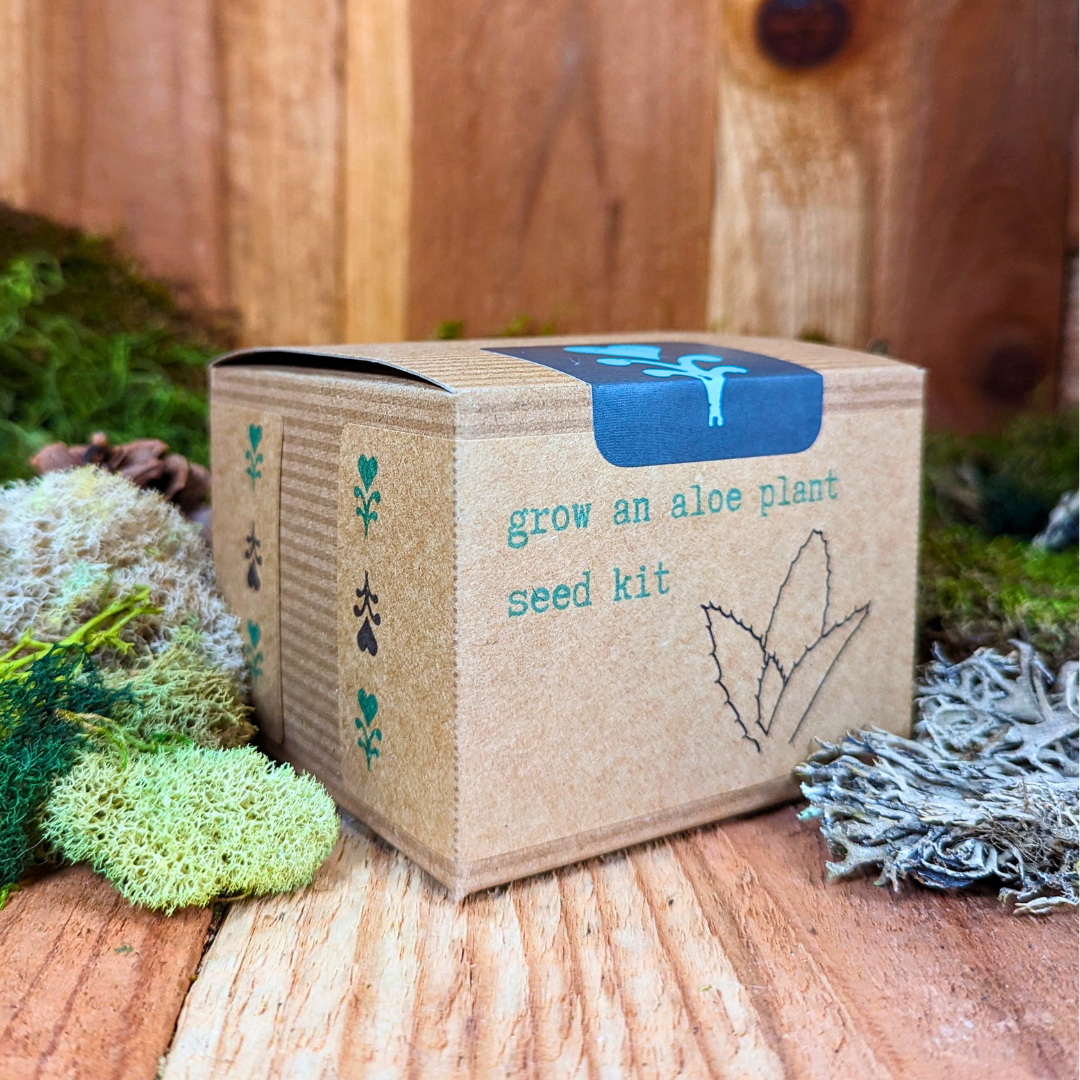 aloe vera plant kit Grow an Aloe Plant Seed Kit