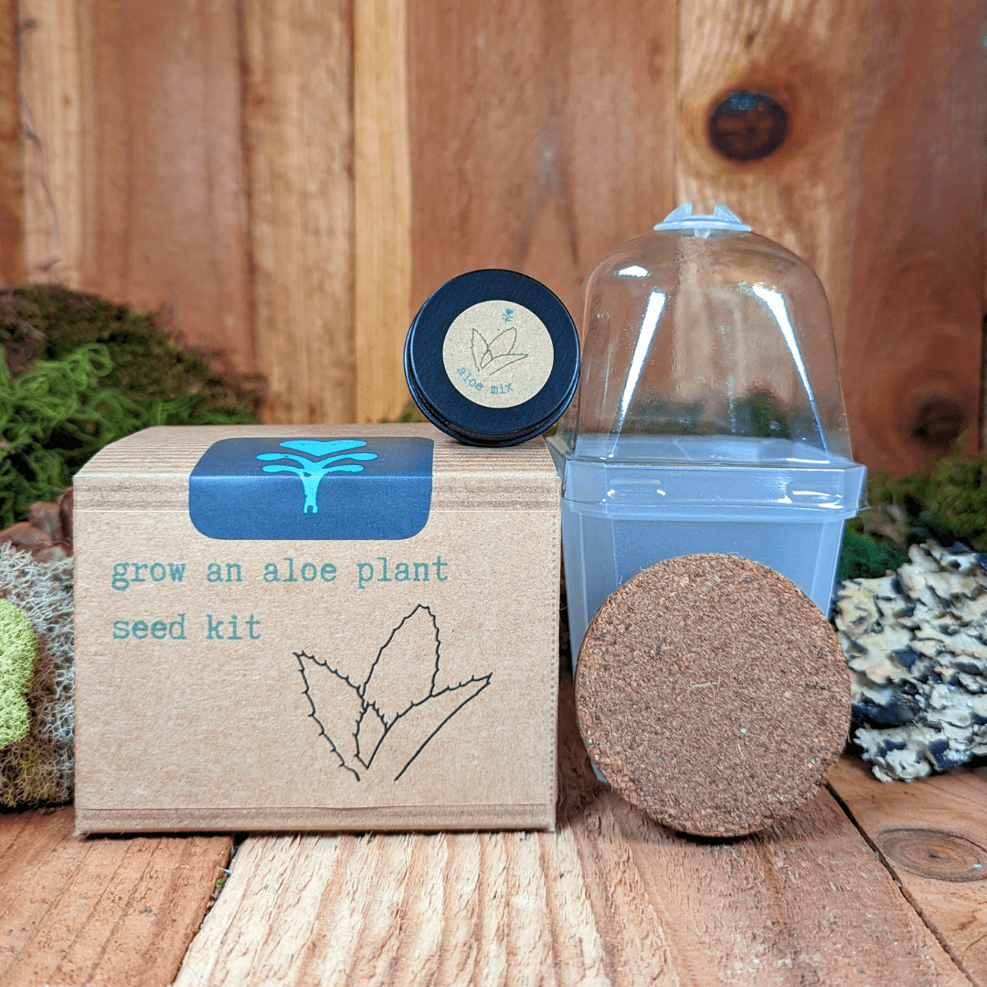 Grow an Aloe Plant Seed Kit - Plantflix