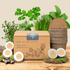 "Grow an Herb Garden" Cooking Herbs Seed Kit - Plantflix