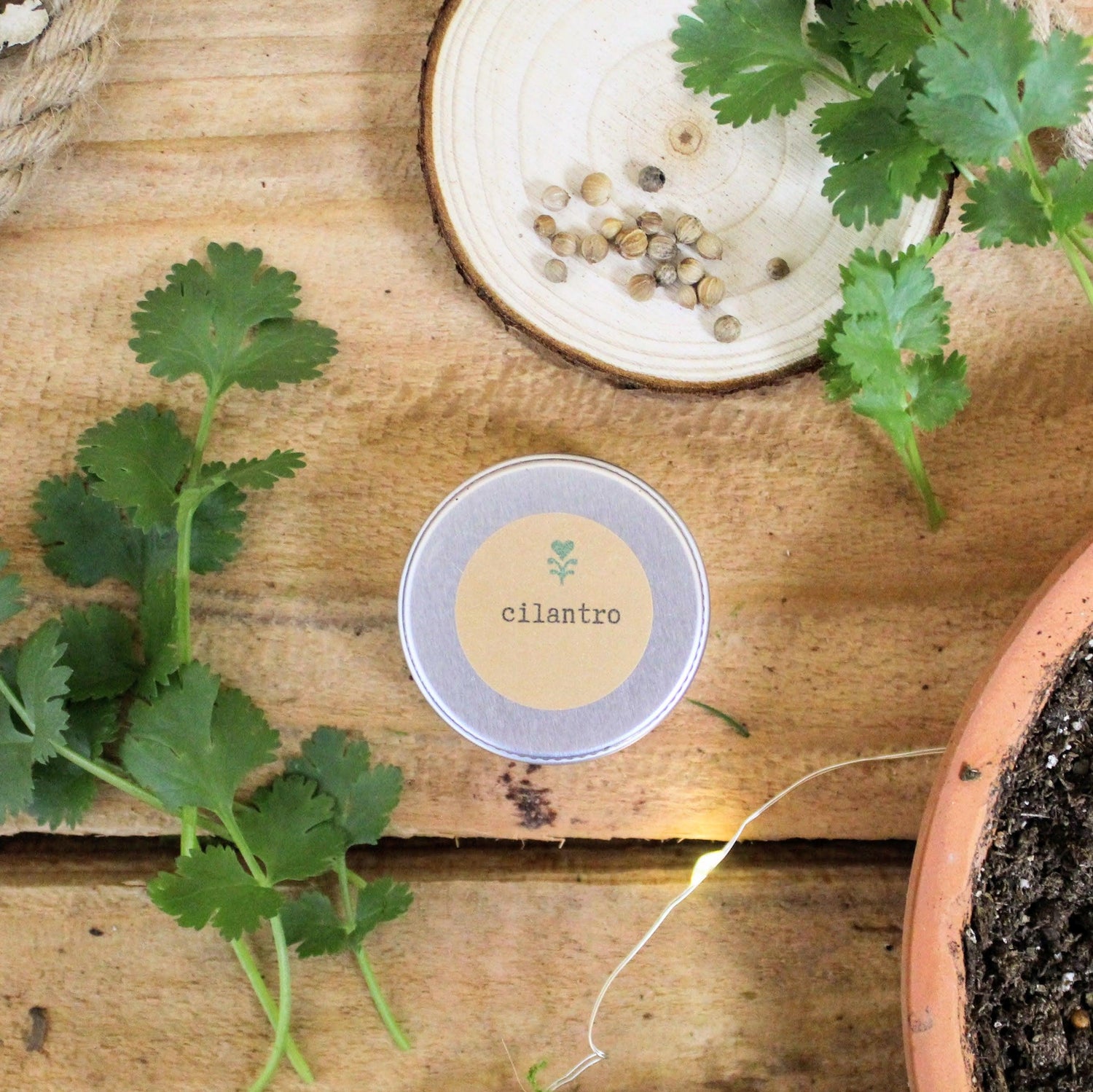 &quot;Grow an Herb Garden&quot; Cooking Herbs Seed Kit - Plantflix