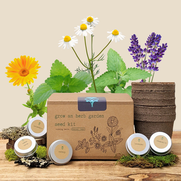 Grow an Herb Garden