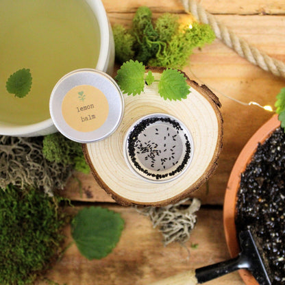 &quot;Grow an Herb Garden&quot; Herbal Teas Seed Kit - Plantflix
