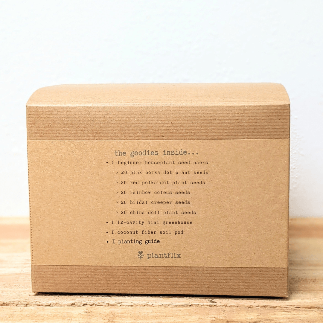 "Grow an Indoor Jungle" Houseplant Seed Kit - Plantflix
