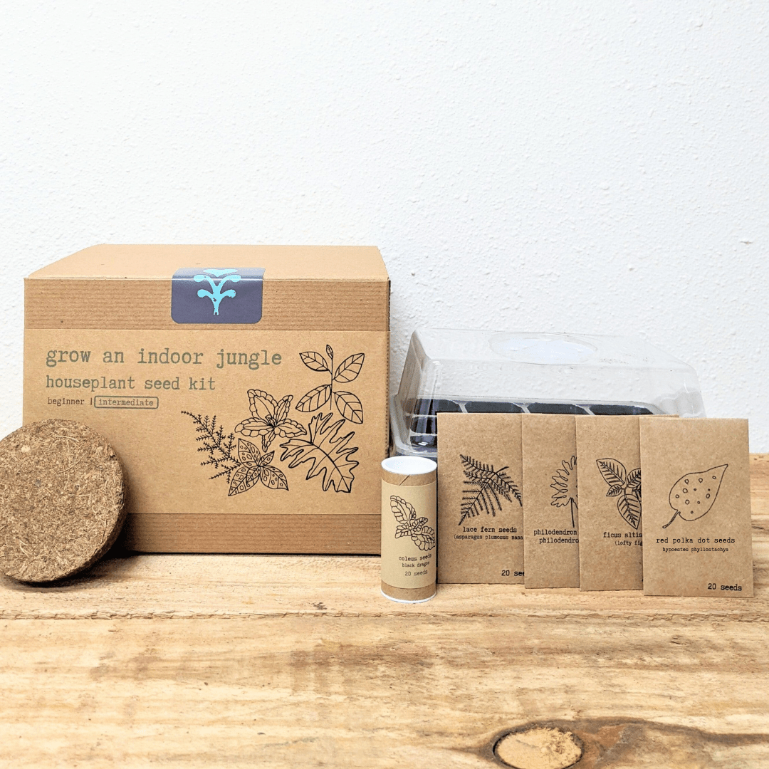 "Grow an Indoor Jungle" Houseplant Seed Kit - Plantflix