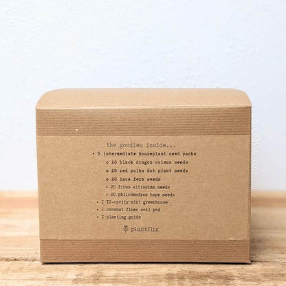 "Grow an Indoor Jungle" Houseplant Seed Kit - Plantflix