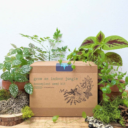 house plant seeds wholesale Grow an Indoor Jungle Houseplant Seed Kit Beginner
