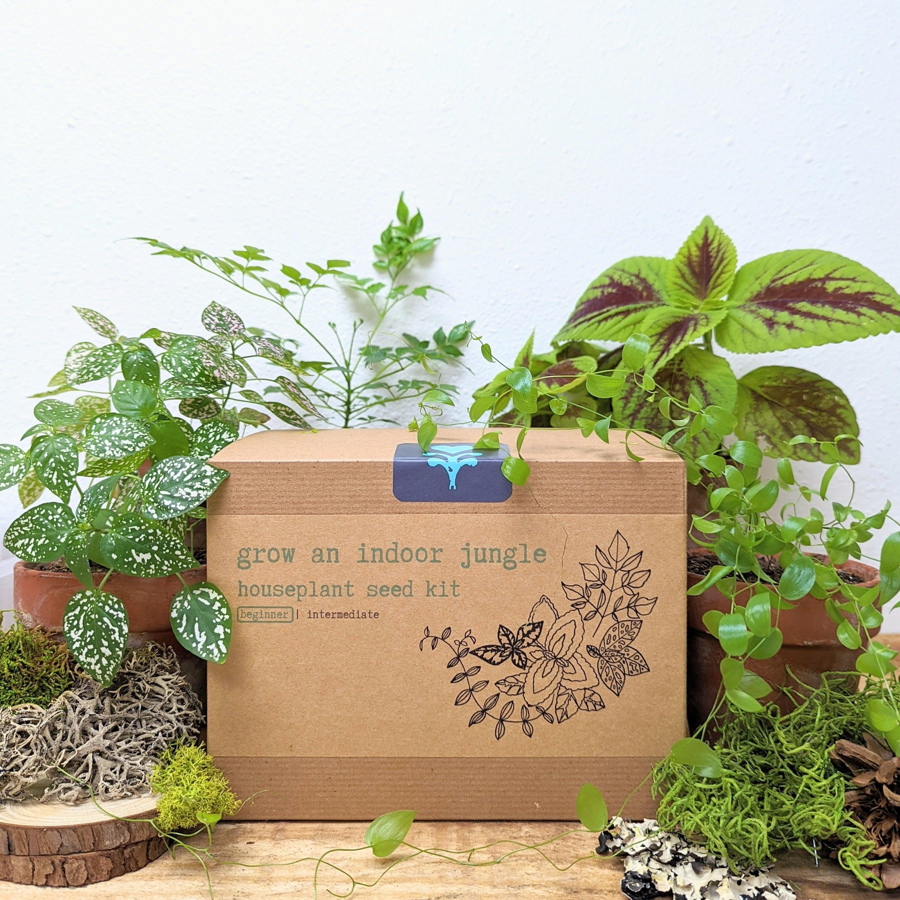 &quot;Grow an Indoor Jungle&quot; Houseplant Seed Kit - Plantflix