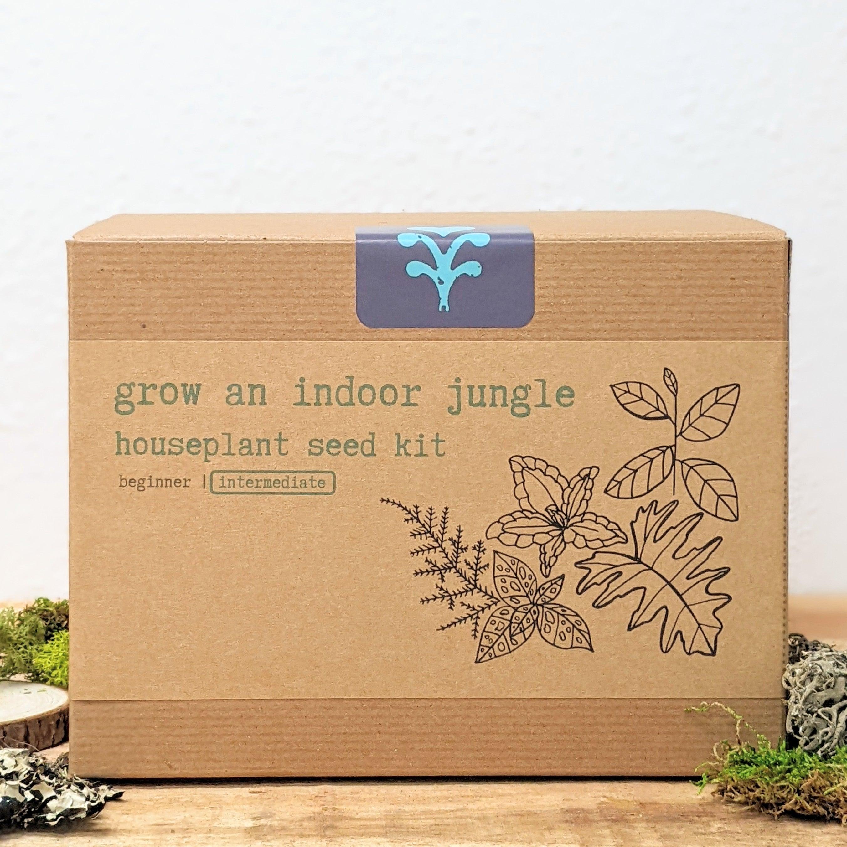 &quot;Grow an Indoor Jungle&quot; Houseplant Seed Kit - Plantflix