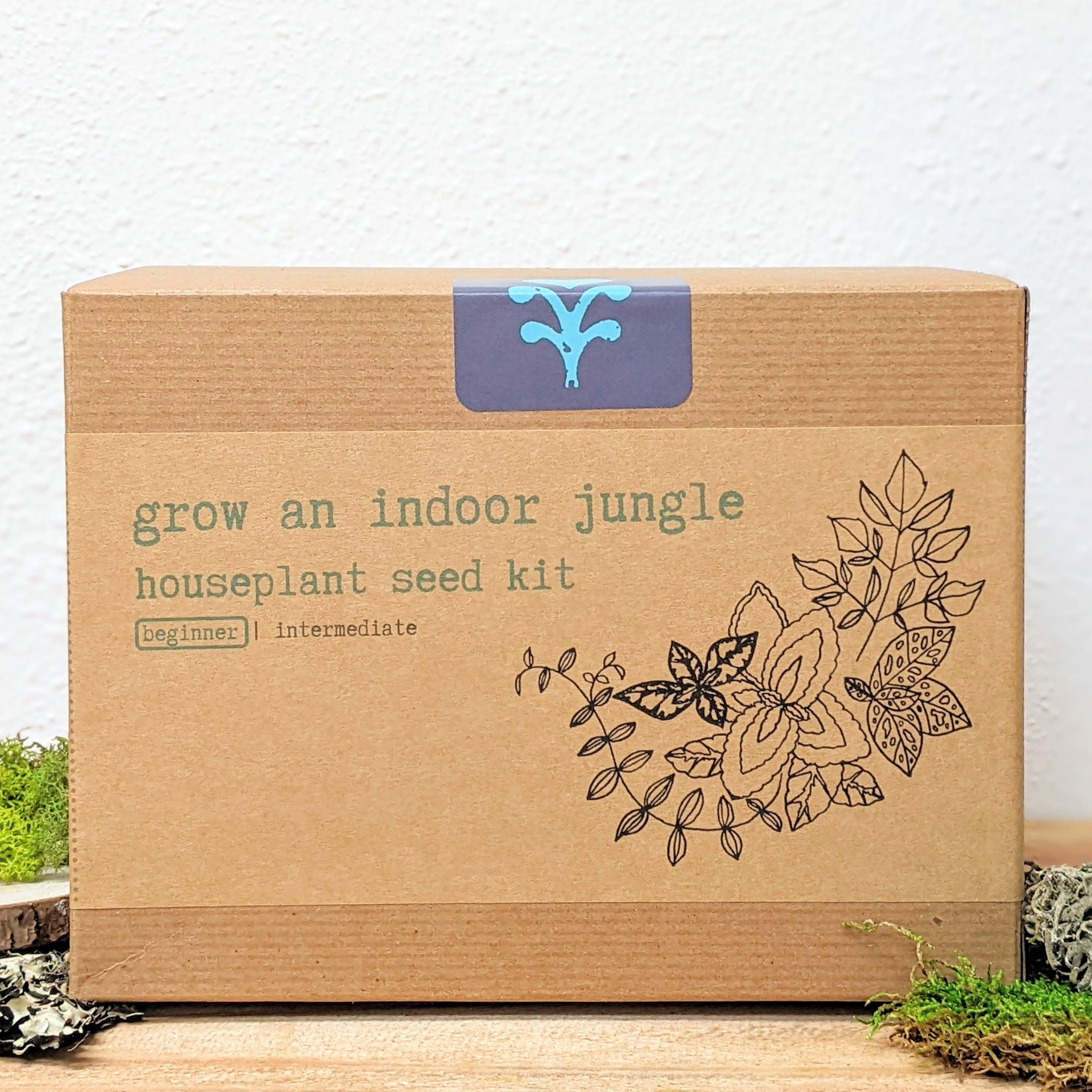 &quot;Grow an Indoor Jungle&quot; Houseplant Seed Kit - Plantflix