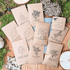 "Grow your own Jungle" Houseplant Seed Collection - Plantflix