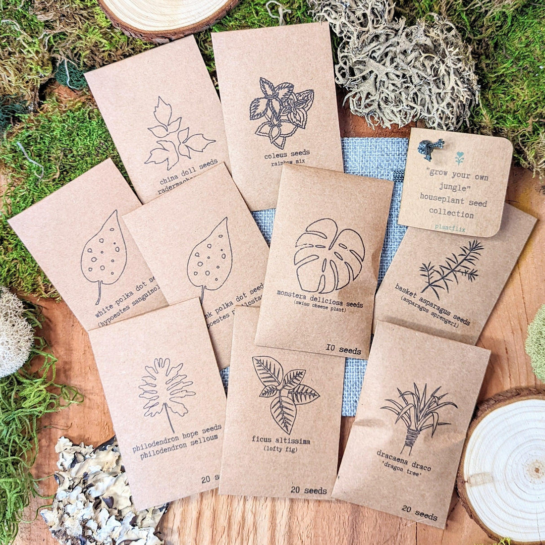 &quot;Grow your own Jungle&quot; Houseplant Seed Collection - Plantflix