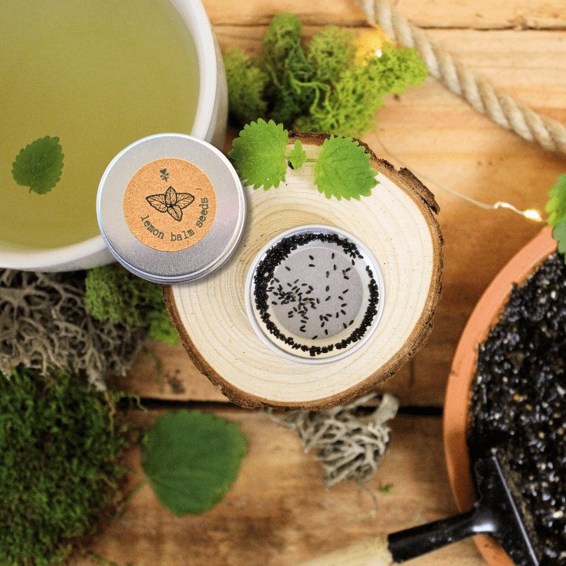 Herbal Tea Seeds Collection - Plantflix